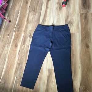 Premium Bi-Stretch Skimmer Pants